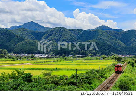 夏日天空下行駛的橘色班坦線柴油列車 125646521