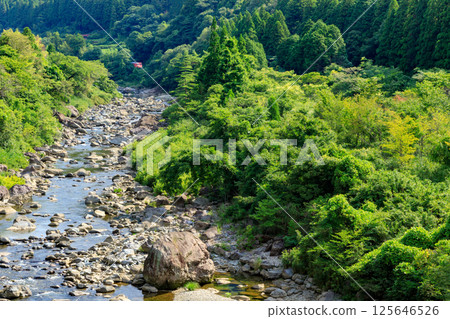 The orange Bantan Line peeking out from the forest 125646526