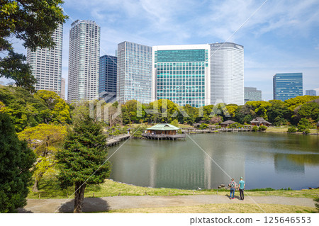 View of the teahouse in Hama-rikyu Gardens and the buildings of Shiodome, Tokyo 125646553