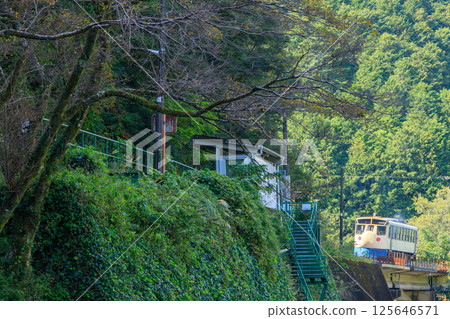 The Yodo Line "Shikoku Shinkansen" runs along the Shimanto River The Yodo Line "Shikoku Shinkansen" runs along the Shimanto River 125646571
