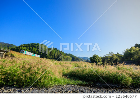 A Mugi Line diesel train running along the banks of the Mugi River shining in the morning sun A Mugi Line diesel train running along the banks of the Mugi River shining in the morning sun 125646577