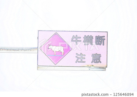 「小心動物穿過」道路標誌插圖 「小心動物穿過」道路標誌插圖 125646894