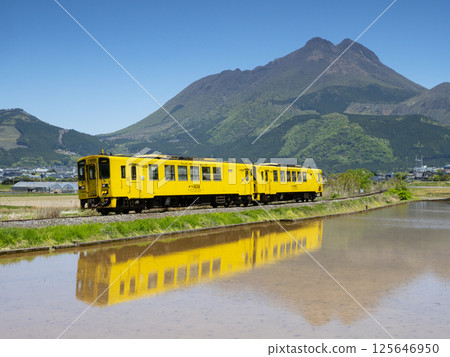 Kiha 125 running with Mount Yufu in the background Kiha 125 running with Mount Yufu in the background 125646950