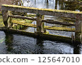 An old sluice gate covered with moss and the flow of the river 125647010