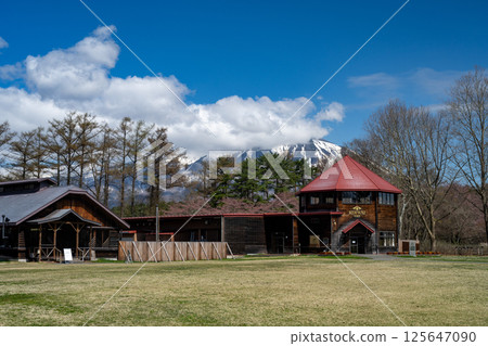 小岩井農場迎來春天 125647090