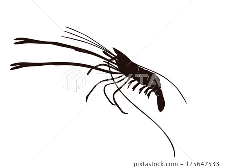 Black Langoustine 125647533