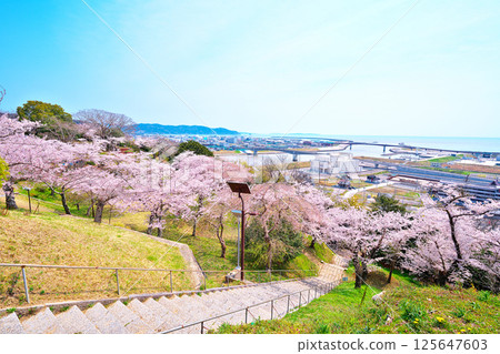 Cherry blossoms at Hinwa-san Park Cherry blossoms at Hinwa-san Park 125647603