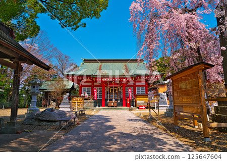 Cherry blossoms at Hinwa-san Park Cherry blossoms at Hinwa-san Park 125647604