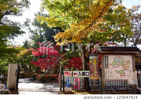 Shizuoka Prefecture, Mishima City Park Rakujuen Station Entrance and Autumn Leaves 125647824