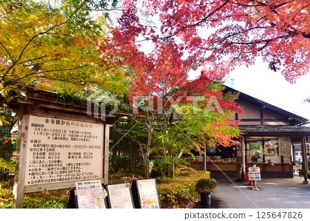 Shizuoka Prefecture, Mishima City Park Rakujuen Station Entrance and Autumn Leaves 125647826