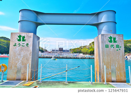 春天的田代島 125647931