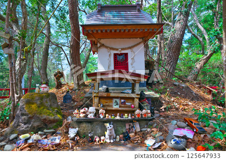 春天的田代島 春天的田代島 125647933