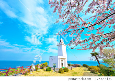 春天的大須崎燈塔 春天的大須崎燈塔 125648150