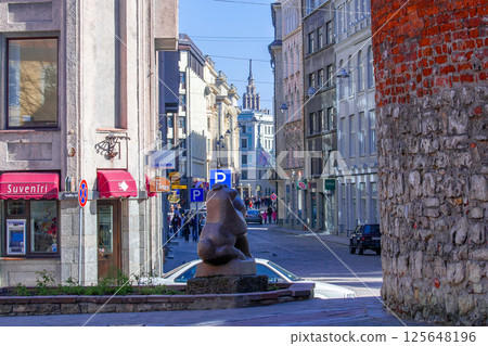 維爾紐斯歷史中心 125648196