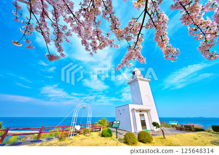 春天的大須崎燈塔 春天的大須崎燈塔 125648314