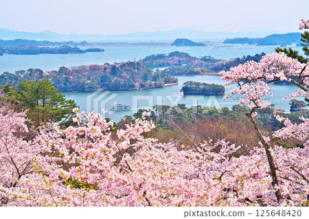 春天的西行毛都鬆 春天的西行毛都鬆 125648420