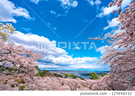 春天的西行毛都鬆 125648532