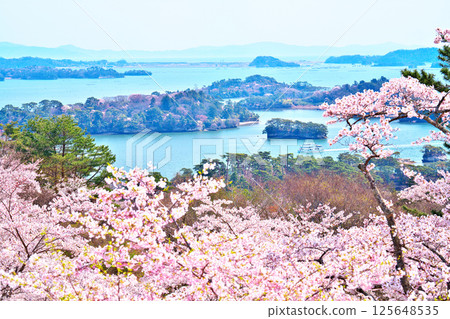 春天的西行毛都鬆 125648535