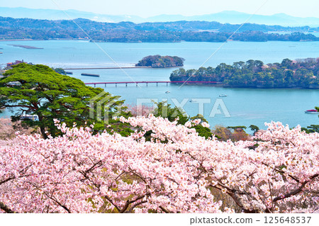 春天的西行毛都鬆 125648537