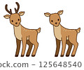 Deer illustration 125648540