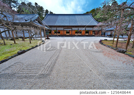 春天的瑞嚴寺 125648644