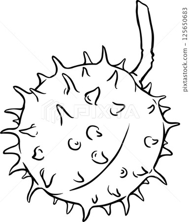 Chestnut Nut Outline Illustration Chestnut Nut Outline Illustration 125650683
