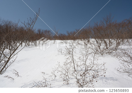 Scenery from the hiking trail on Mount Nasu in April 125650893