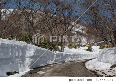 四月栃木縣那須山登山口週邊的風景 125650925
