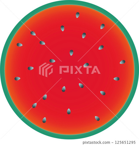 Watermelon round cross section illustration 125651295