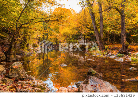 Beautiful autumn landscape Beautiful autumn landscape 125651429