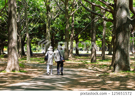 Back view of an elderly couple walking hand in hand 125651572
