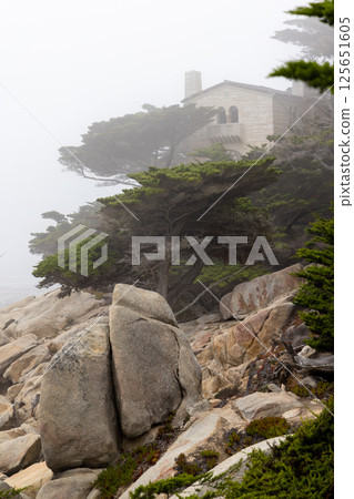 Coastal landscape in California 125651605