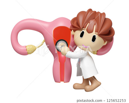 3d human uterus with woman doctor hand holding stethoscope isolated. check uterus health concept, 3d illustration render 3d human uterus with woman doctor hand holding stethoscope isolated. check uterus health concept, 3d illustration render 125652253