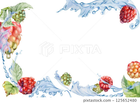 Raspberry berries leaves flying in water splash, dew drops, ripe garden dewberry cloudberry mulberry loganberry tayberry hand drawn in watercolor. Isolated border corner frame. Menu, farmers market 125652480