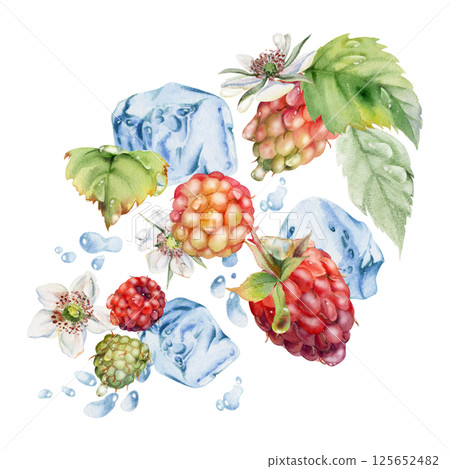 Raspberry ripe garden berries flying in water splash leaves flowers, ice cubes, dew drops, fresh dewberry cloudberry mulberry loganberry. Isolated illustration hand drawn in watercolor. Drinks grocery Raspberry ripe garden berries flying in water splash leaves flowers, ice cubes, dew drops, fresh dewberry cloudberry mulberry loganberry. Isolated illustration hand drawn in watercolor. Drinks grocery 125652482
