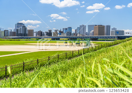 Summer Tamagawa riverbank: A view of the buildings in front of Kawasaki Station from the green space [Kawasaki City, Kanagawa Prefecture] 125653428