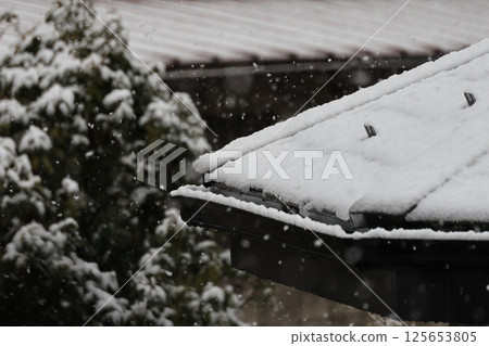 Snow falls steadily and steadily Snow falls steadily and steadily 125653805