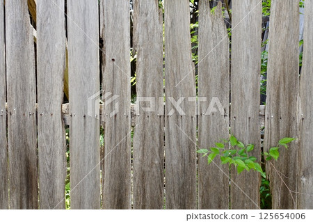 Old wooden fence background material Old wooden fence background material 125654006