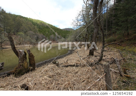 The legendary pond The legendary pond 125654192
