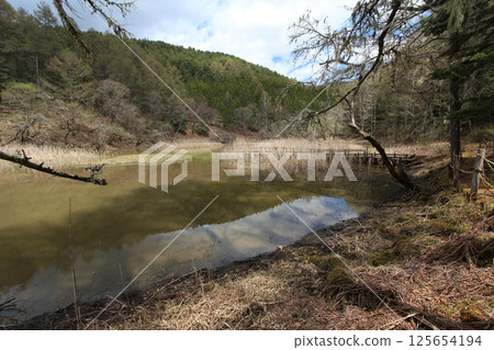 The legendary pond The legendary pond 125654194