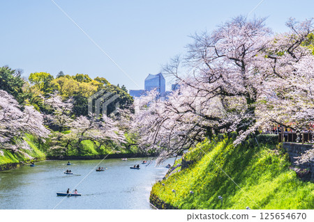 春天的千鳥淵：櫻花盛開的城市景觀 [東京都千代田區] 125654670