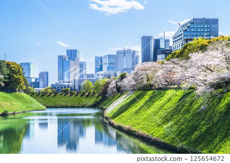 Tokyo in spring with cherry blossoms in bloom: Cityscape seen from Chidorigafuchi and Hanzobori moat [Chiyoda-ku, Tokyo] 125654672