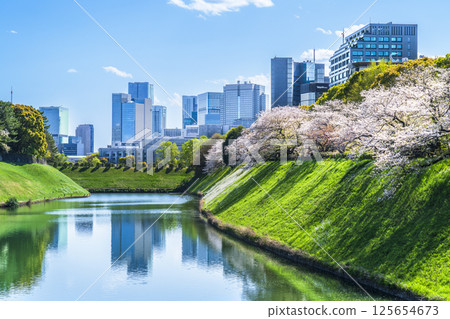 Tokyo in spring with cherry blossoms in bloom: Cityscape seen from Chidorigafuchi and Hanzobori moat [Chiyoda-ku, Tokyo] 125654673