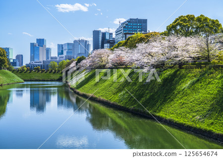 Tokyo in spring with cherry blossoms in bloom: Cityscape seen from Chidorigafuchi and Hanzobori moat [Chiyoda-ku, Tokyo] 125654674