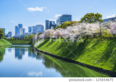 Tokyo in spring with cherry blossoms in bloom: Cityscape seen from Chidorigafuchi and Hanzobori moat [Chiyoda-ku, Tokyo] 125654675