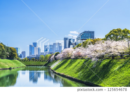 櫻花盛開的春天的東京：從千鳥淵和半藏堀眺望的城市景觀 [東京都千代田區] 125654678