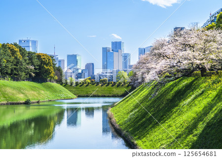 Tokyo in spring with cherry blossoms in bloom: Cityscape seen from Chidorigafuchi and Hanzobori moat [Chiyoda-ku, Tokyo] 125654681