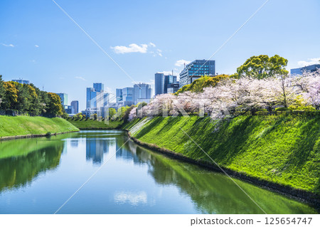 櫻花盛開的春天的東京：從千鳥淵和半藏堀眺望的城市景觀 [東京都千代田區] 125654747