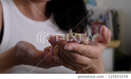 A close-up of a leopard gecko resting in gentle hands, highlighting its vibrant colors and intricate textures. This image celebrates exotic pets and their care in domestic environments. A close-up of a leopard gecko resting in gentle hands, highlighting its vibrant colors and intricate textures. This image celebrates exotic pets and their care in domestic environments. 125655259