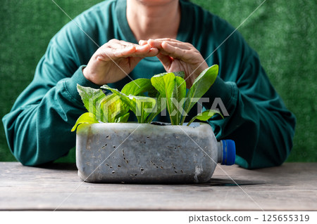 Female hands protecting plants growing in used plastic bottles with plastic bottles water DIY for planting vegetable plant on wooden table in green background, reuse and recycle concepts. 125655319